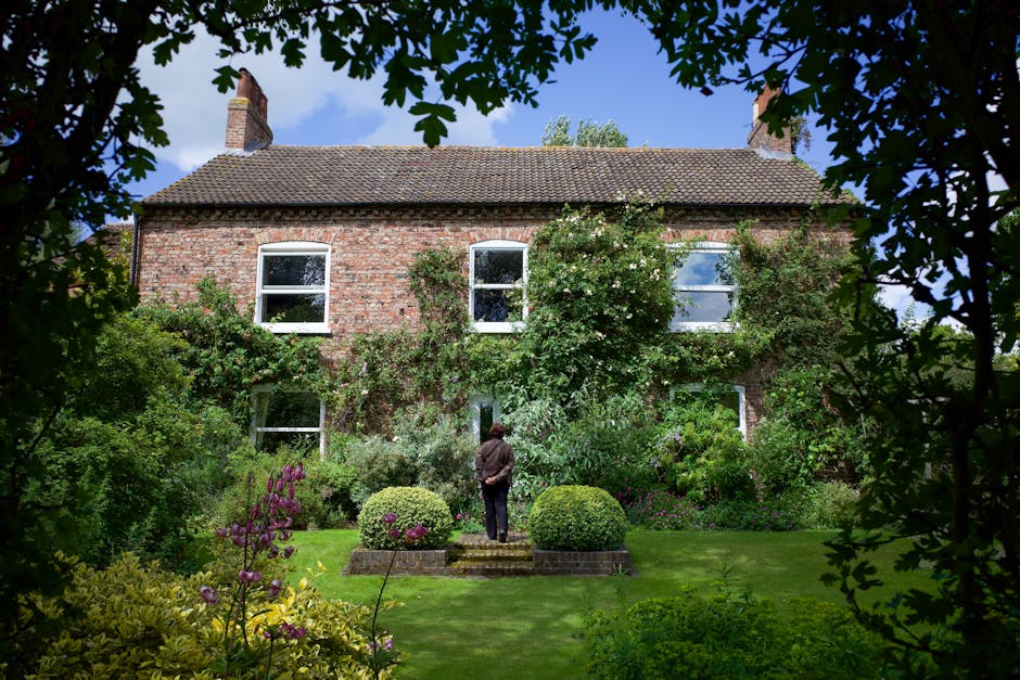 A traditional brick period house with a pitched tiled roof, two visible chimneys, and four white-framed sash windows, surrounded by lush greenery and mature plants. The garden features a well-maintained lawn with trimmed grass, two large, rounded boxwood shrubs on a small paved area, and various flowering plants including purple blooms. Climbing plants and vines grow along the brick wall, partially covering the windows. A person dressed in dark clothing, standing on garden steps, is engaged in garden maintenance, while a rake is visible on the ground nearby. The scene is framed by overhanging tree branches and leaves, with a bright, partly cloudy sky overhead, suggesting a sunny day suitable for outdoor gardening and landscaping work, as might be recommended for period houses in the Castelnau area, with assistance from Gardeners Barnes.