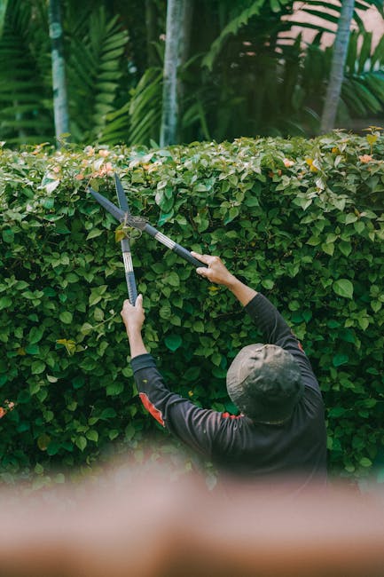 https://gardenersbarnes.org.uk/blog/gardeners-barnes-same-day-hedge-cutting-and-emergency-care/